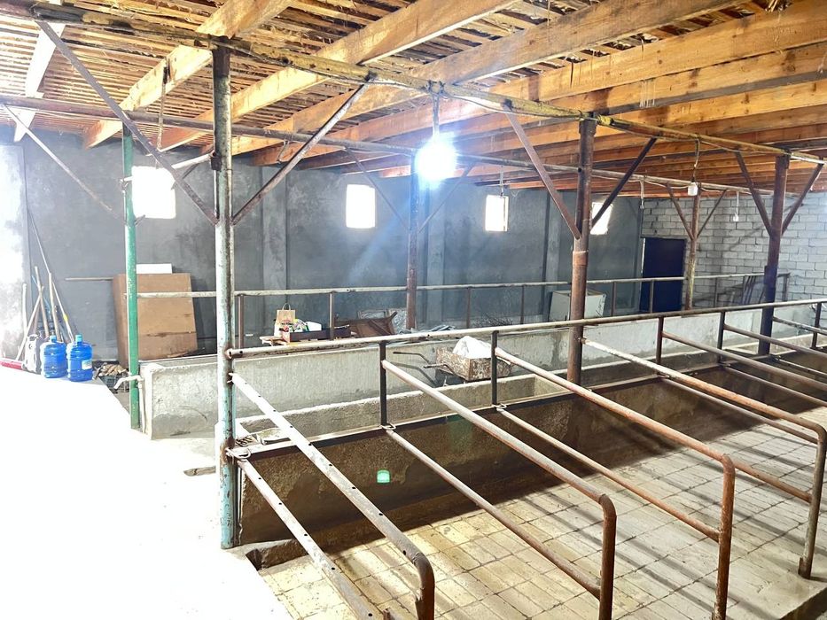 Яшнабод тузелда Эски аргин