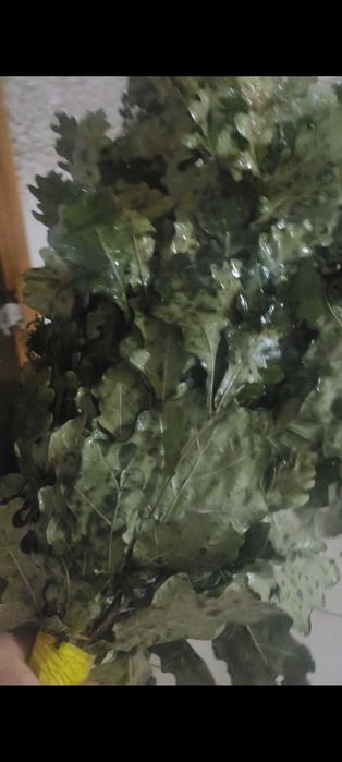 Продам Березавые веники есть масло пихтовое