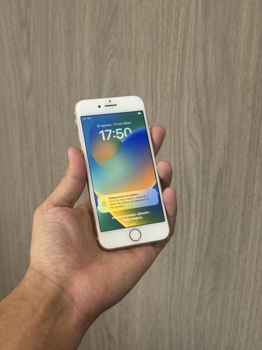 Iphone 8 64GB 100%