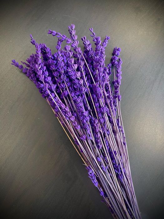 Сухи цветя за аранжиране