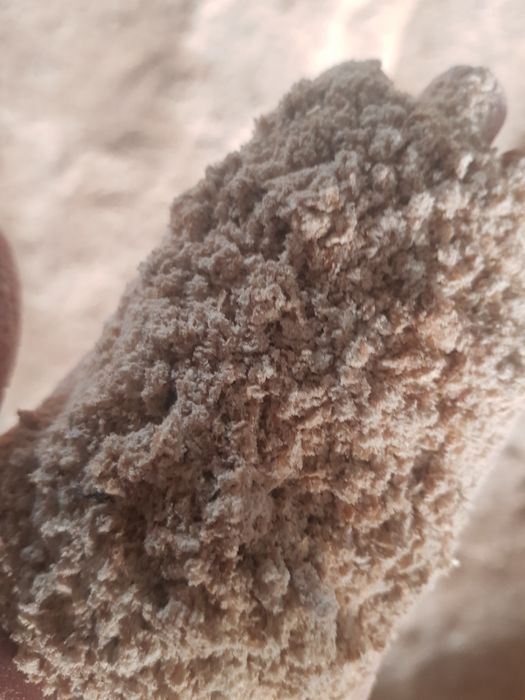 Отруби пшеничные в мешках. (Кебек)