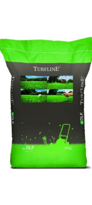 Gazon ekish va lanshaf