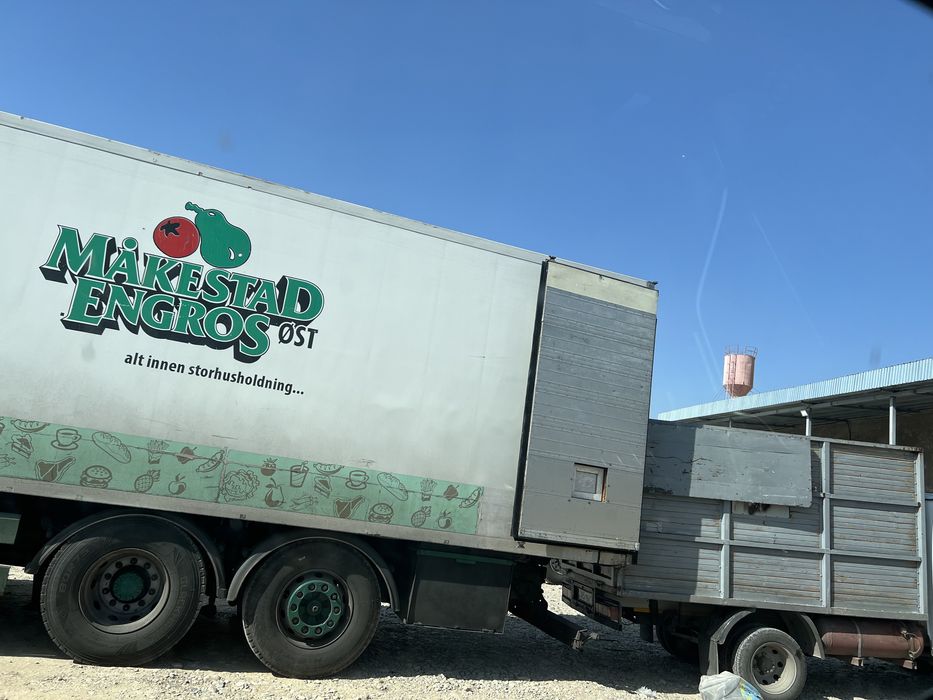 3 тонн весы профессиональные