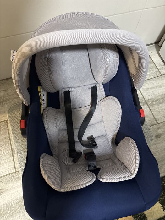 Scoică Bebeuși 1-13kg