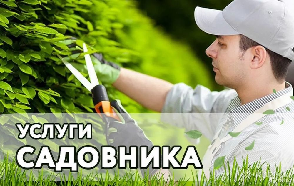 Услуги газонокосильщика,  садовника