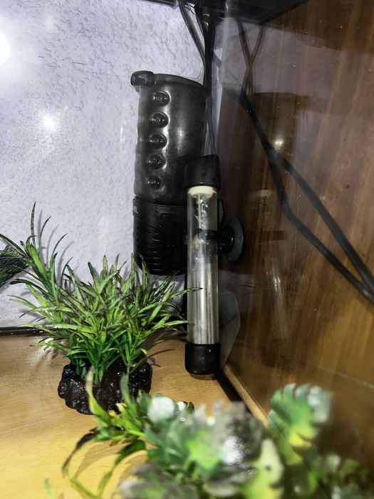 Acvariu aquael 54 litri