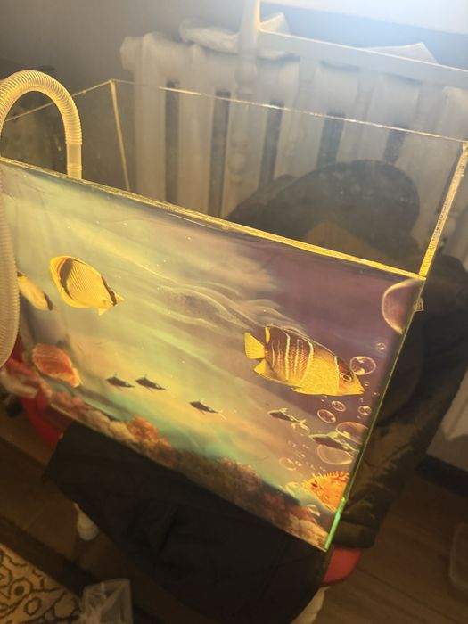 Аквариум с набором.                        .