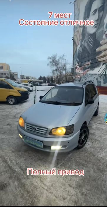 Продам Таета ипсум.