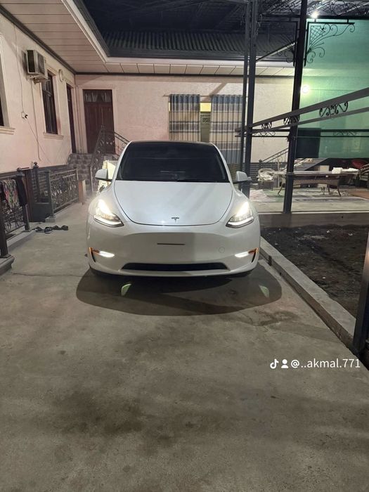 Tesla Model Y Performance Dual Motor