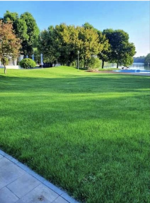 Gazon rulou de cea mai inalta calitate- Montaj inclus