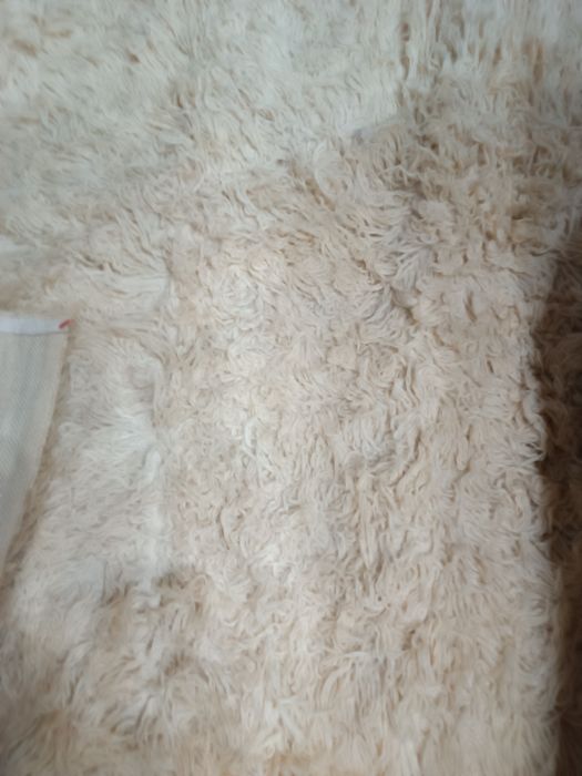 Родопски китеник