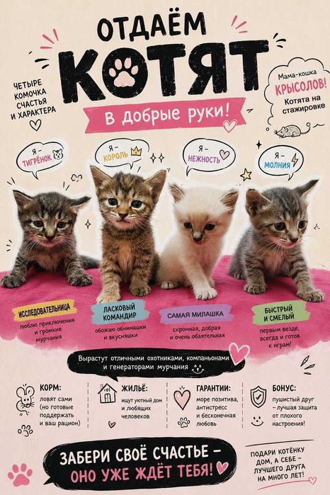 Котят от кошки крысолова в добрые руки