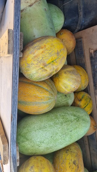 Vand legume, pepeni rosii si galbeni