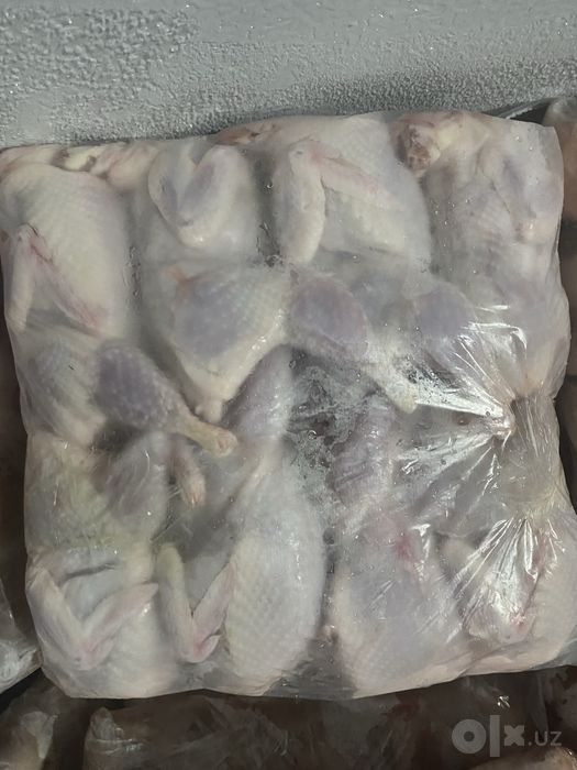 Белый гигант бедана гошти