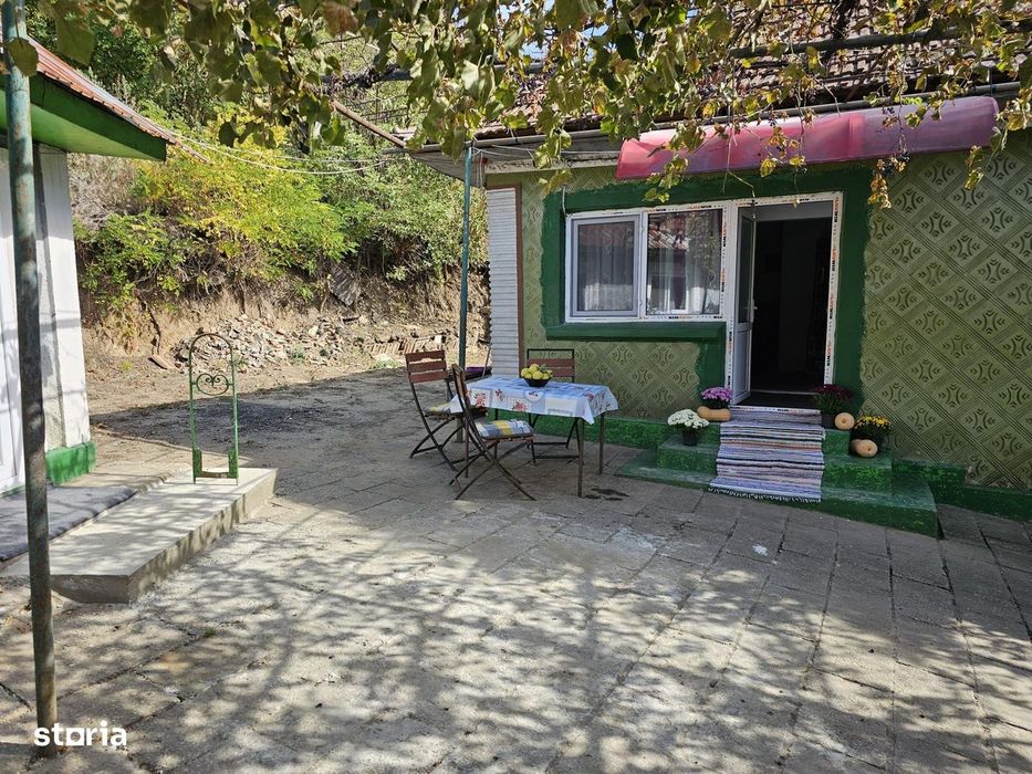 Casă tradițională cu anexe și teren 1.100 mp – VASLUI - MUNTENII DE JO