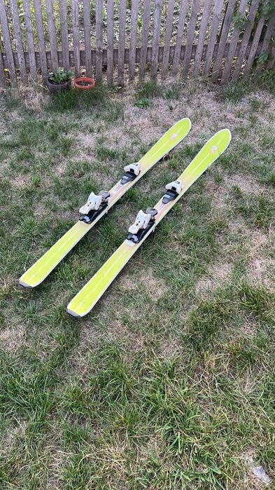 Schiuri Salamon BBR limelite