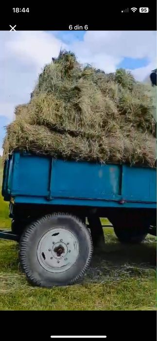 Baloti fan si baloti de ovaz