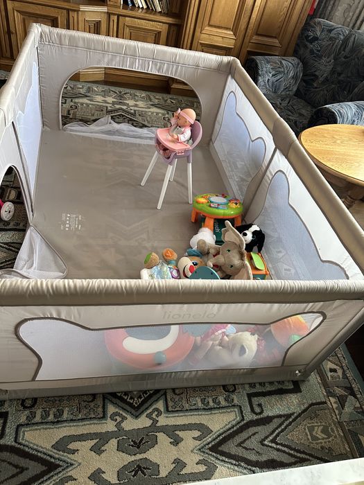 Carucior , masinita electrica , camera supraveghere etc