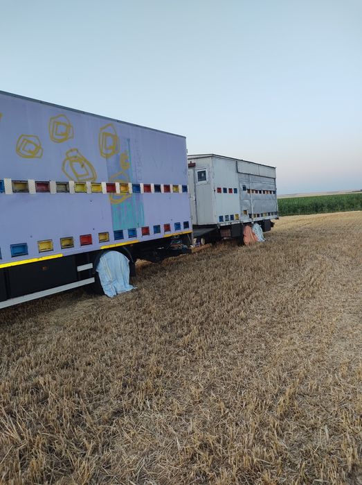 LICHIDEZ STUPINĂ Vând camion neomologt apicol, VOLVO și remorca  2 axe