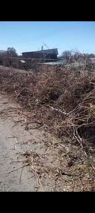 Отдам,самовывоз зилок будет