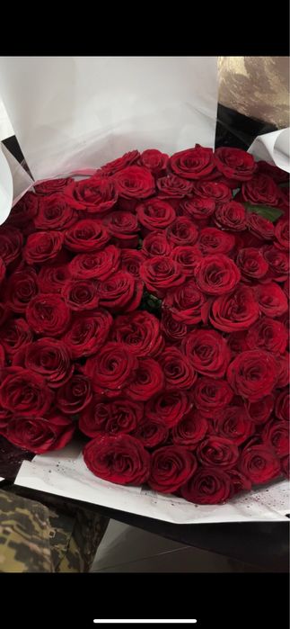 101 метровый роза