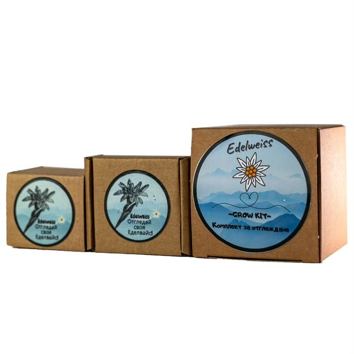 Отгледай своя Еделвайс! Кутийки със семена и инструкции.