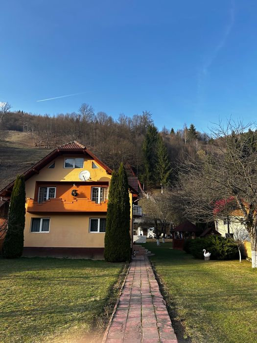 Insieme apuseni Mountains