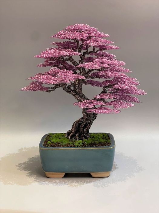 Дерево бансай япон дарахти Йасаб берамиз