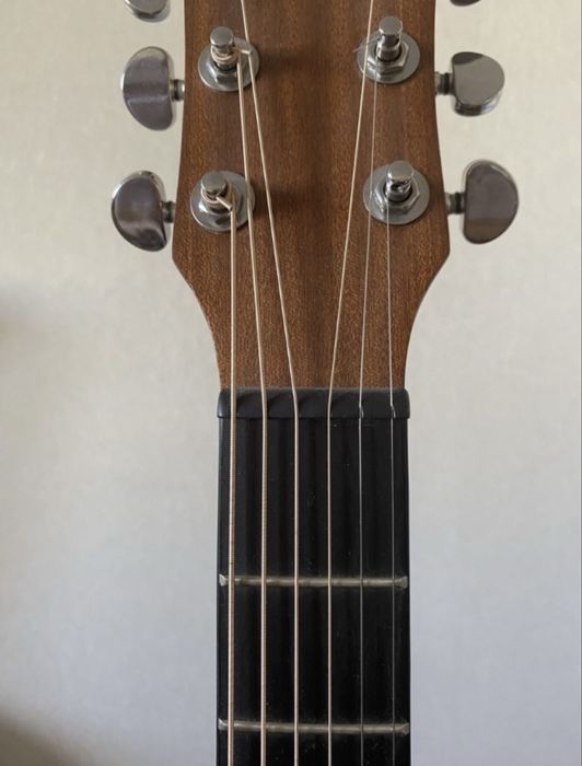 Продам гитару, гитара, Flight