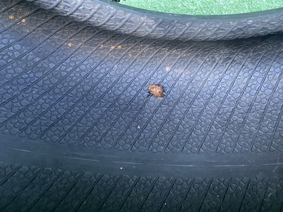 Anvelopa iarna leao Igreen All Season 185 60 R15 88H XL Dor 2322 5,1mm