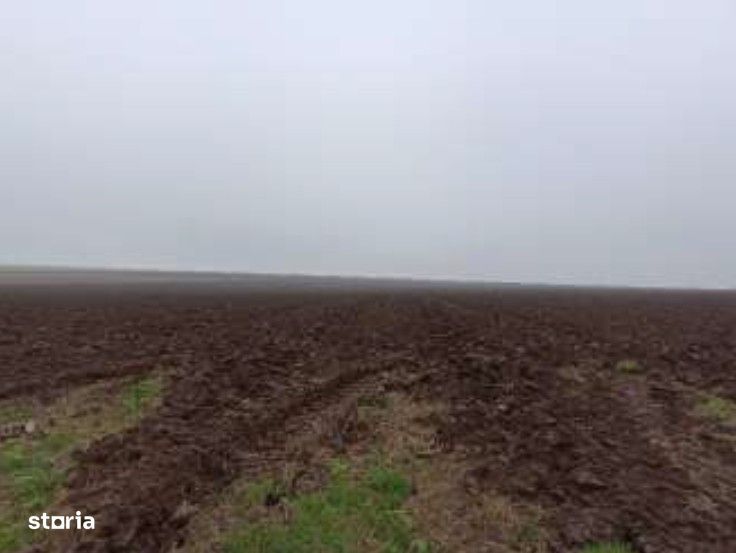 Teren extravilna Limanu, ID: R2969006