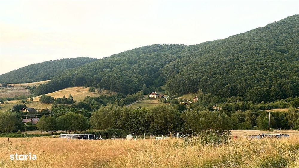 Oportunitate Teren Pt Investitie 3408Mp In Gura Raului