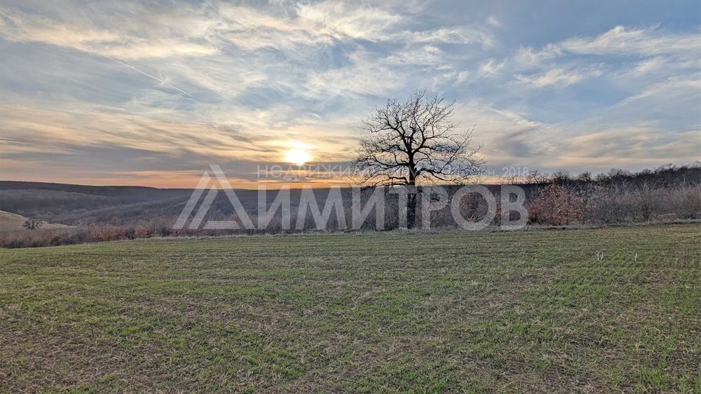 Продава парцел 5 дка в регулация между селата Мировци и Писарево.