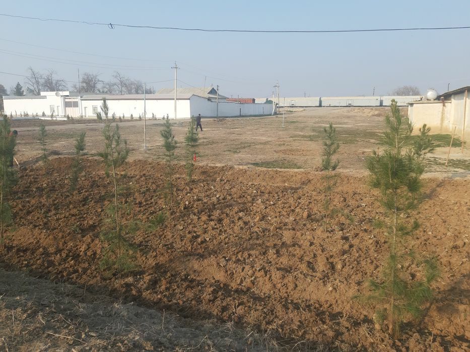 Косон тумани Зарин мини маркет рупараси вокзал олдидан угловойдан ноту