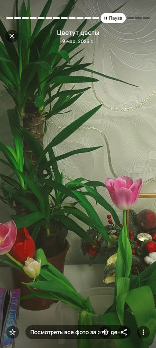 Квартира посуточно