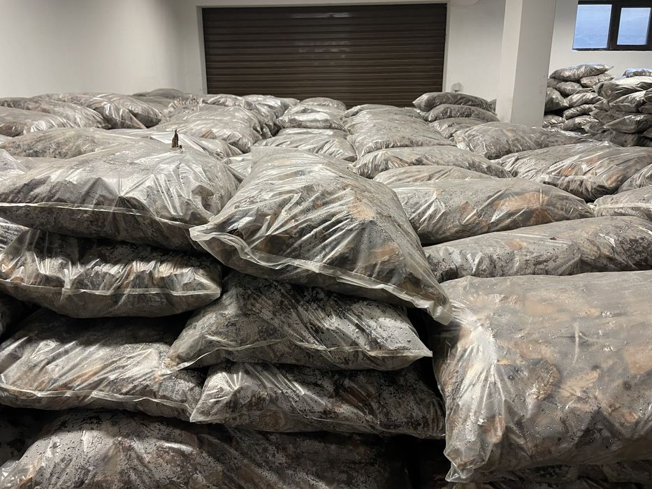 Едра борова кора мулч  – висок клас