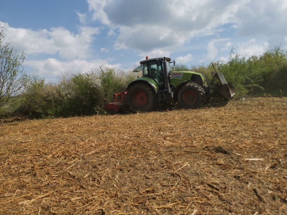 Curatare si defrisare terenuri, pasuni, livada