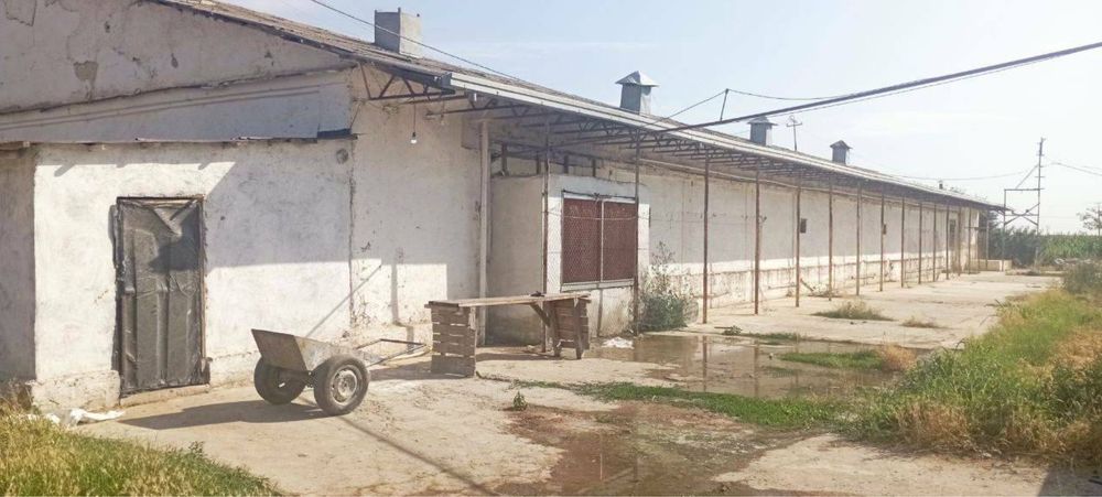 Ер-Земля 10 гктр ПРОДАЁТСЯ