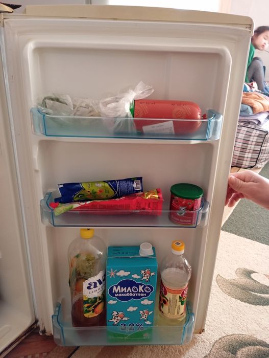 Холаделник рабочый