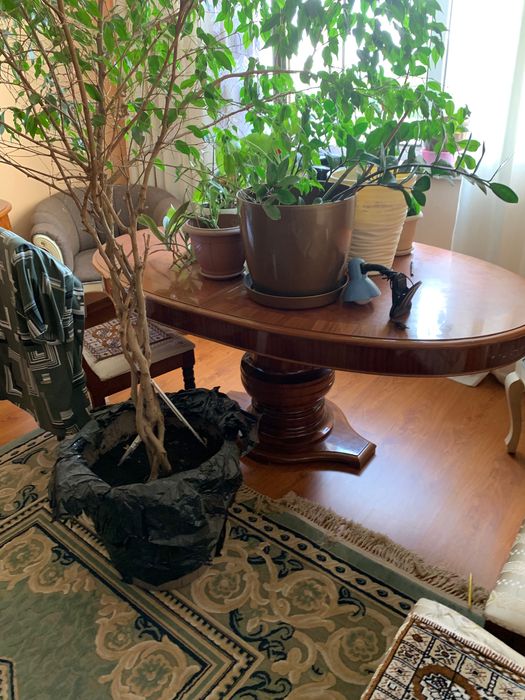 Гостиный гарнитур (буфет)