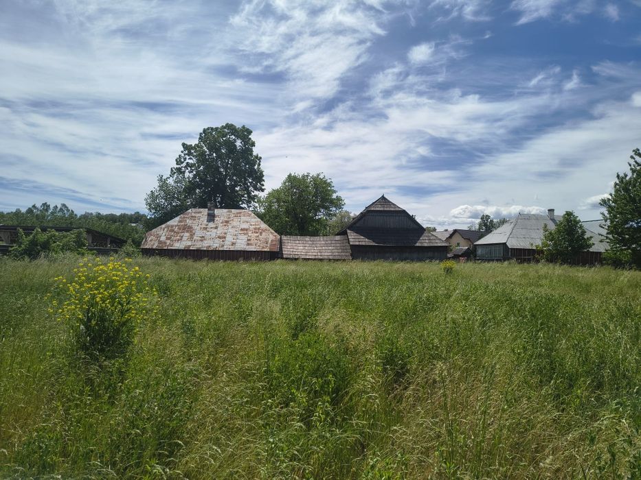 Vând casă bătrânească cu teren în Comuna Arbore, 3762 mp, 600 m constructii, Tomșa Vodă nr. 31