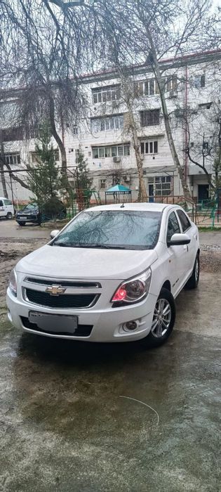 Cobalt 2020 срочно!