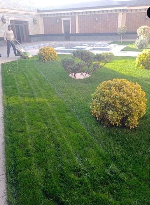 Рулон газон оптом Самарканд