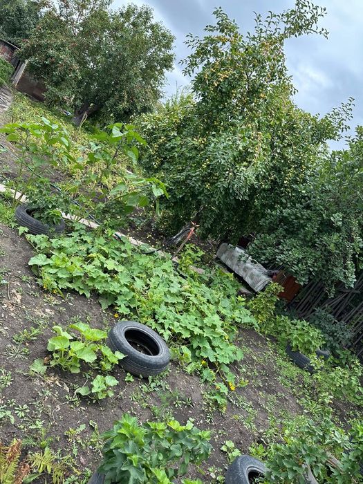 Продам дачный участок