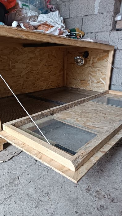 Брудер для цыплят