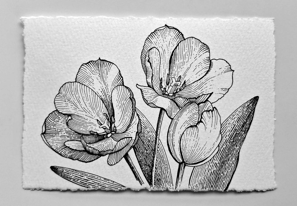 Нежни графични рисунки на цветя – ръчна изработка