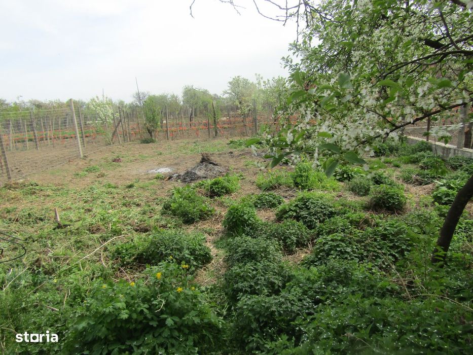 Teren- 1269 mp de vanzare in Vintu de Jos