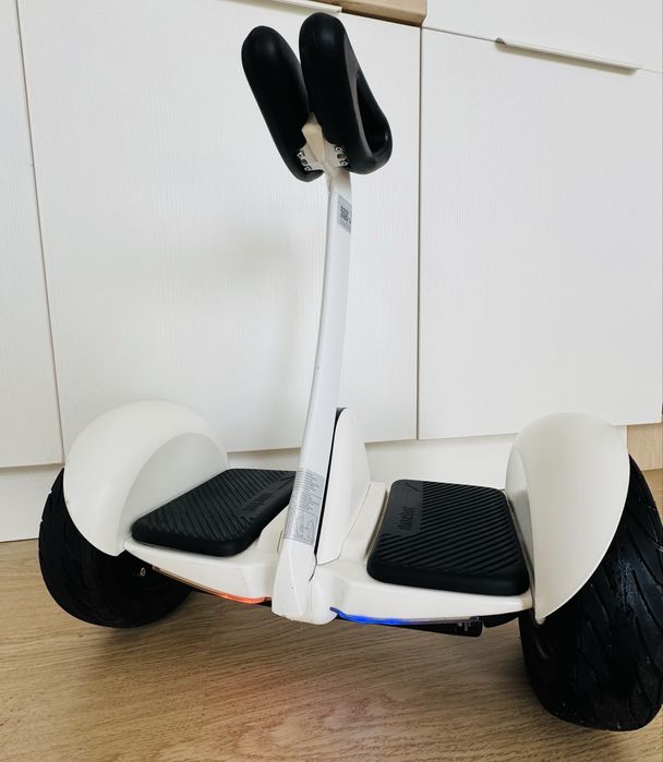 Seagway ninebot s Model: N3M240