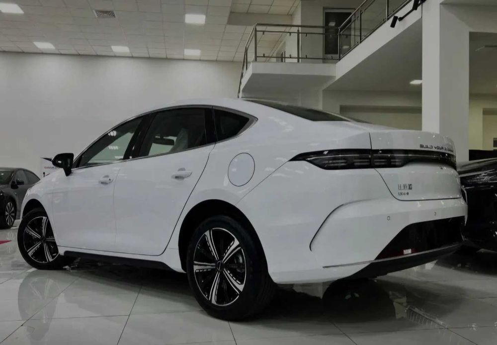 BYD Chazor Flagship 120 km