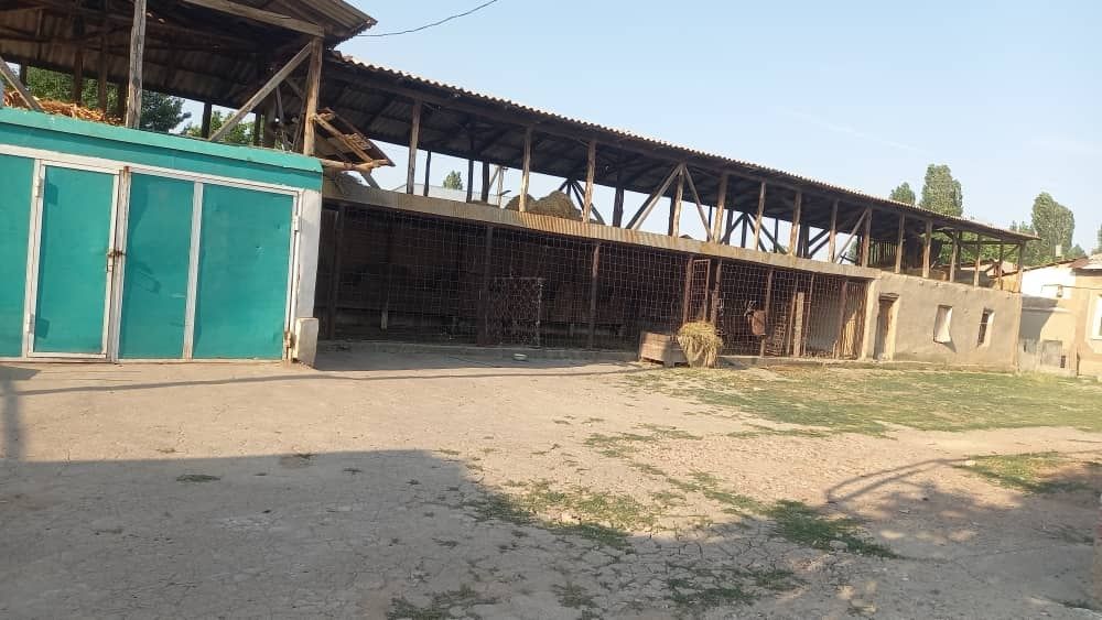 Ховли жой сотилади